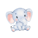 Daxiang China VPN, 庞然大物国内机场