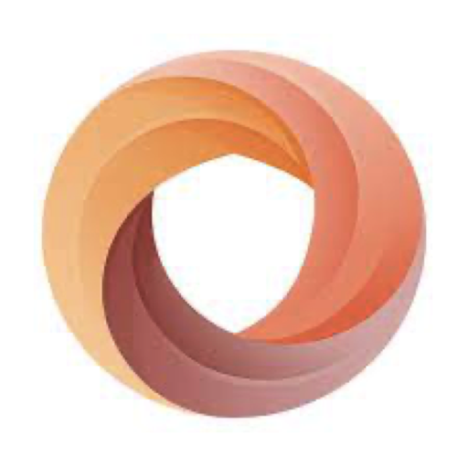 Yinghu China VPN, 银色狐狸国内机场