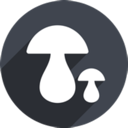 Mogu China VPN, 蘑菇国内机场