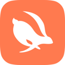 Turbo China VPN, 小兔子国内机场