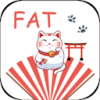 胖猫国内机场