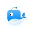 Cetacean China VPN