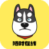 迅速犬国内机场